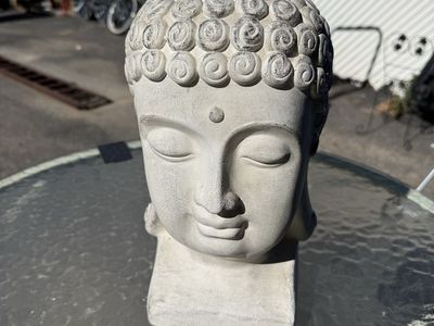 Buddha Head