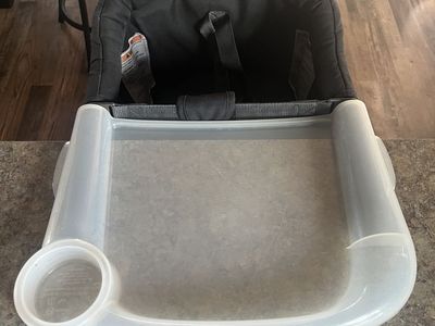 Inglesina Fast Table Chair With Tray