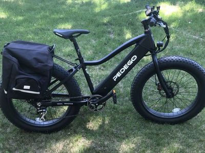 Electric Bike Pedgo Trail Tracker Fat Tire