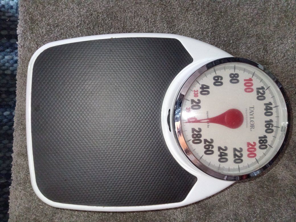 Taylor Professional 330lb Capacity Scale USA!