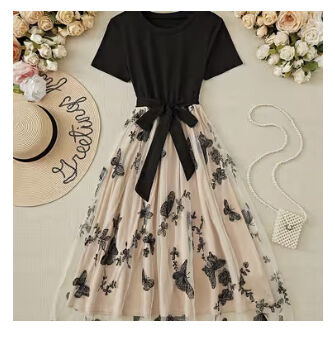 Short sleeve Lace & Tulle Dress