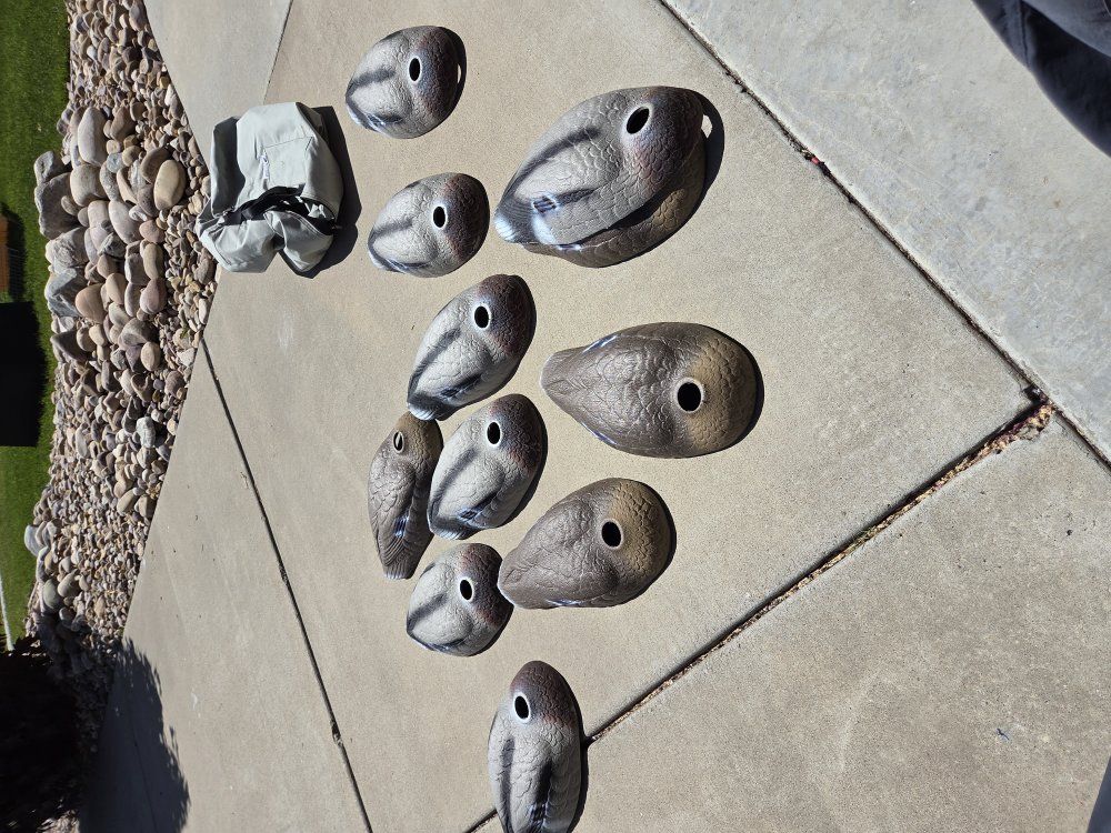 Duck decoy foam shells with bag