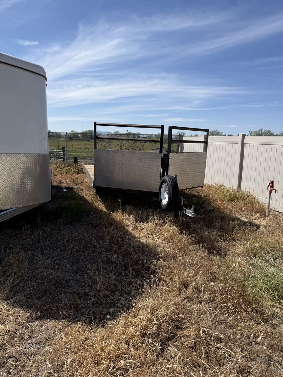 Snowmobile trailer