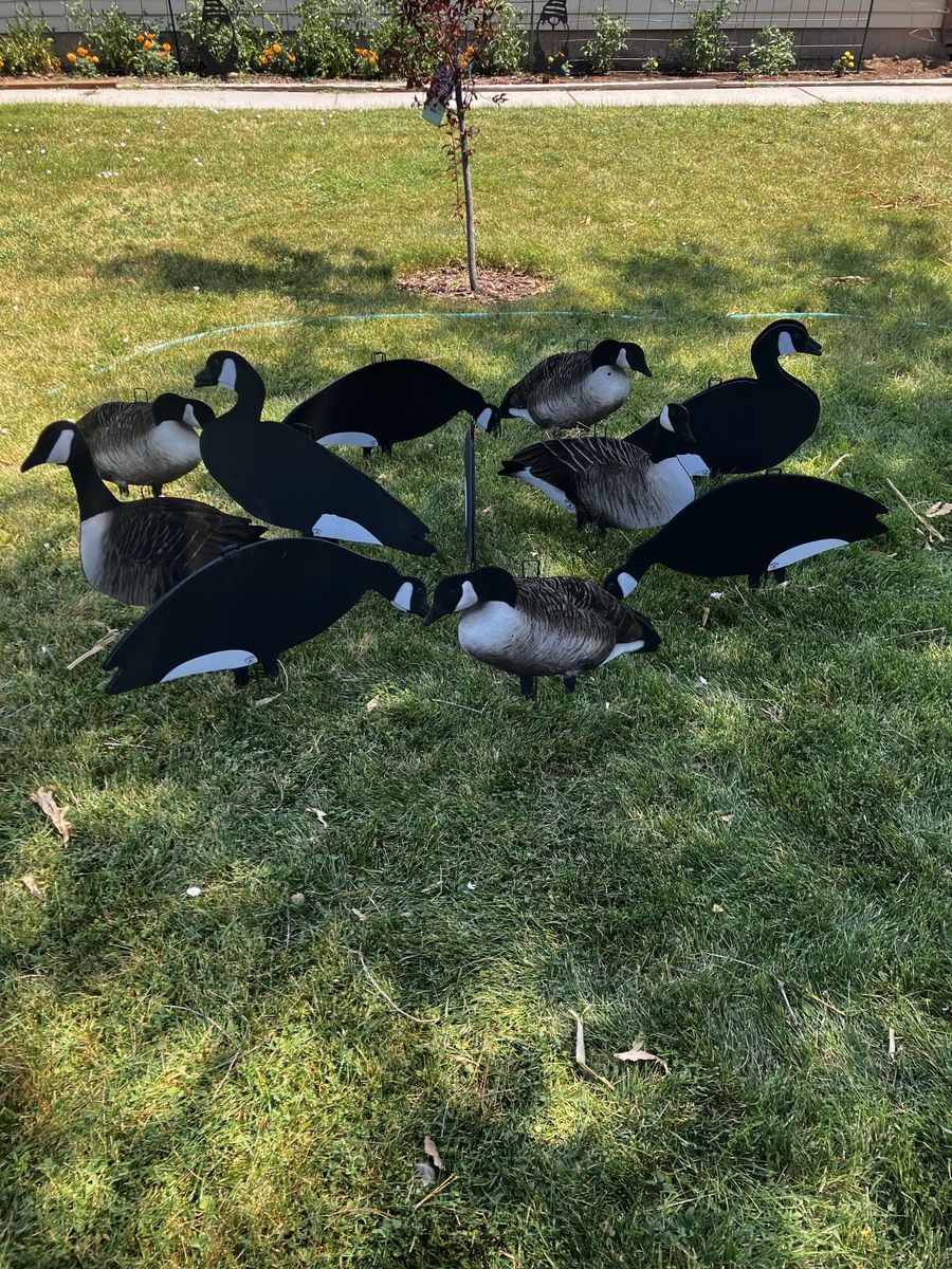 Big Al’s Silhouettes
