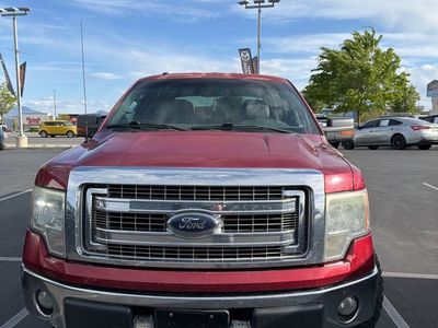 2014 FORD F150 XLT