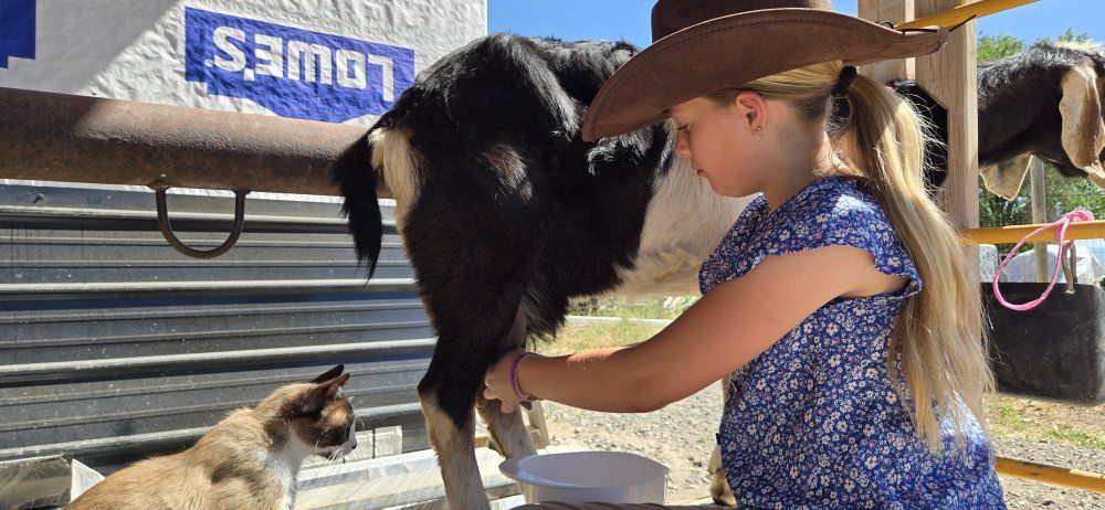 Got milk???, Milk goats for sale!