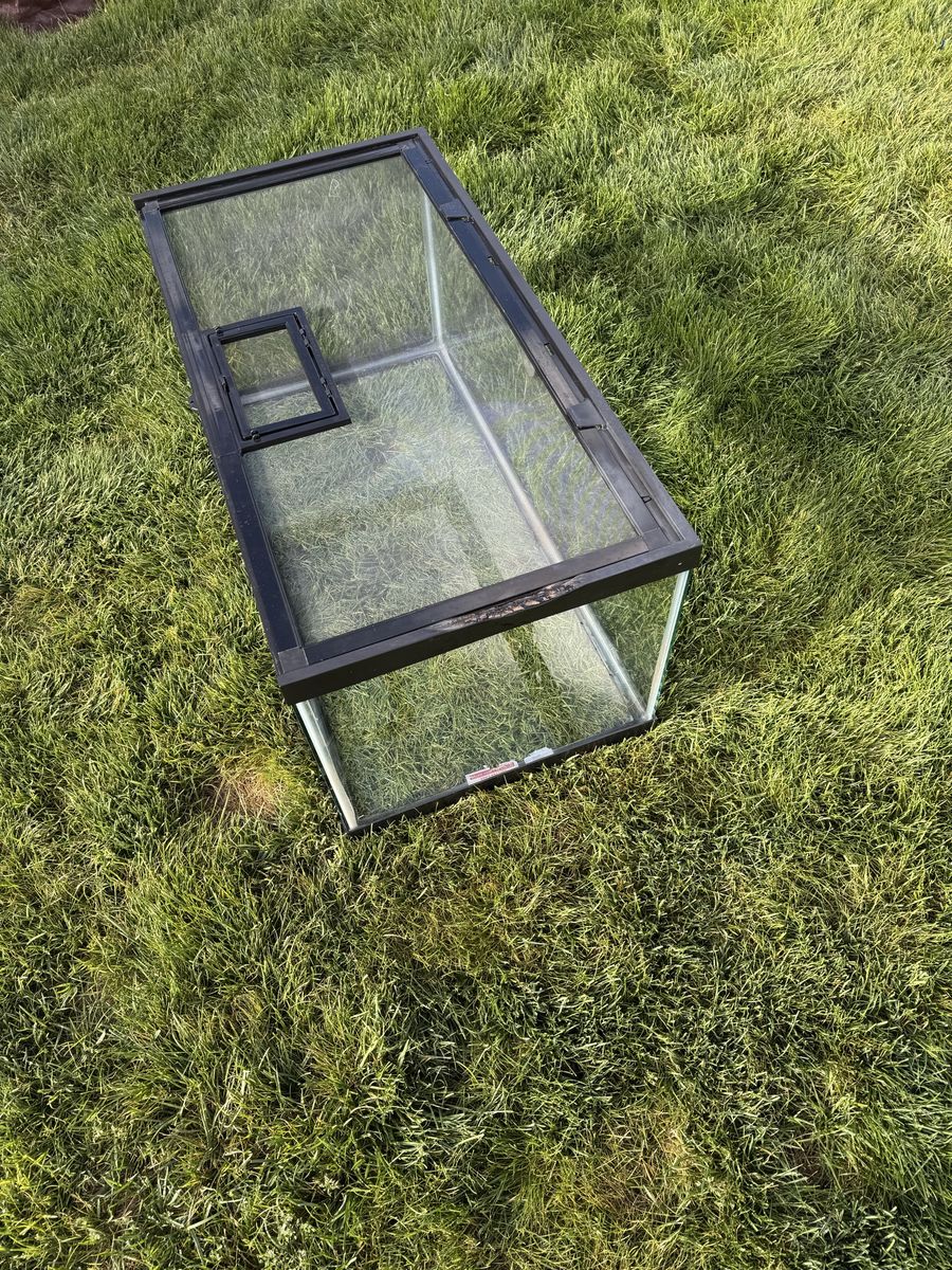 Main image 6