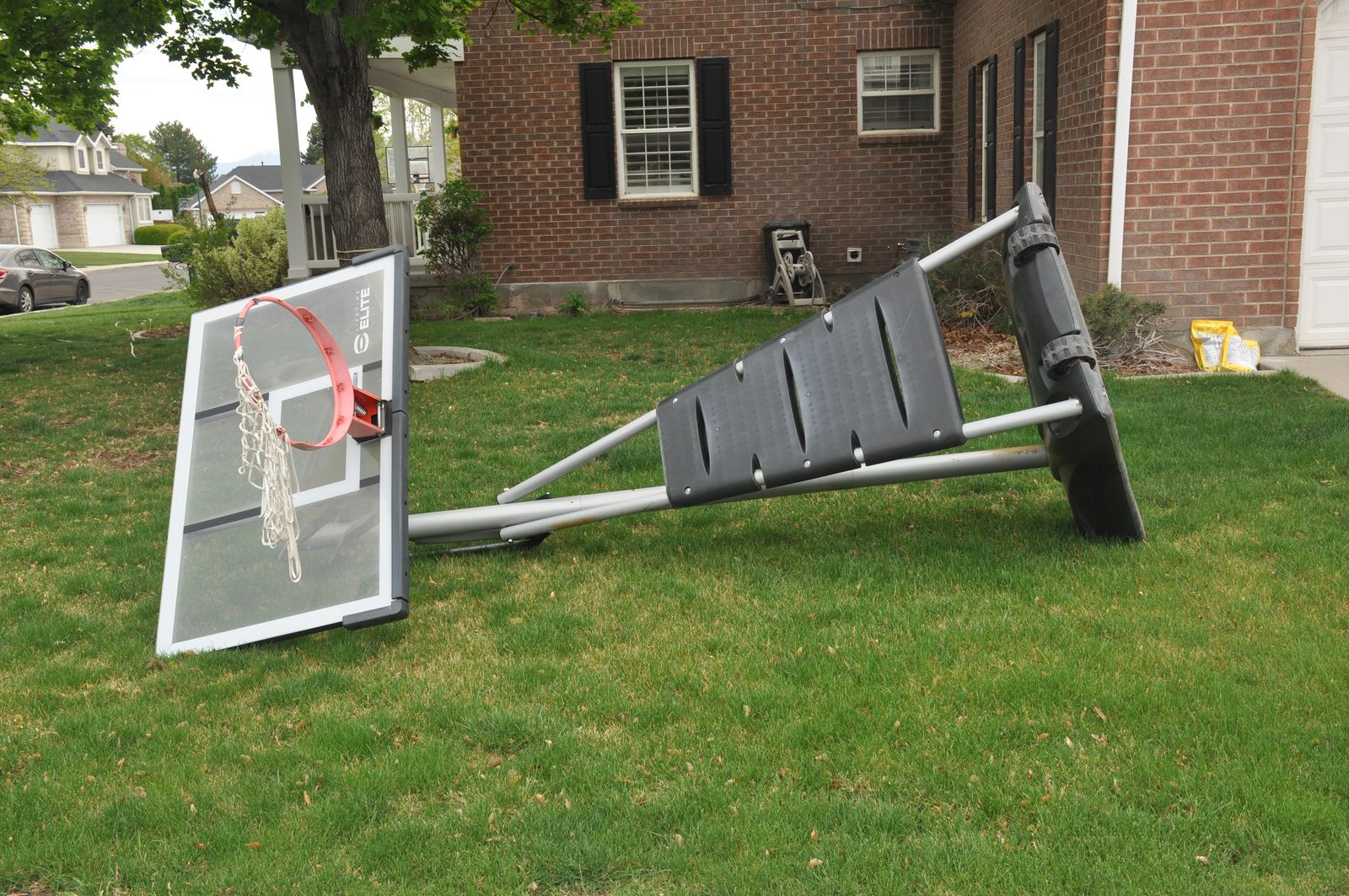 Lifetime Elite Adjustable Portable Basketball Hoop Stand