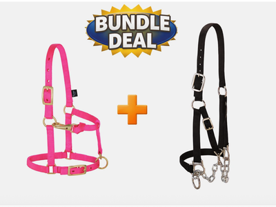 Weaver Mini Horse Halter Pink + Weaver Heavy Duty Black Chain Halter Bundle