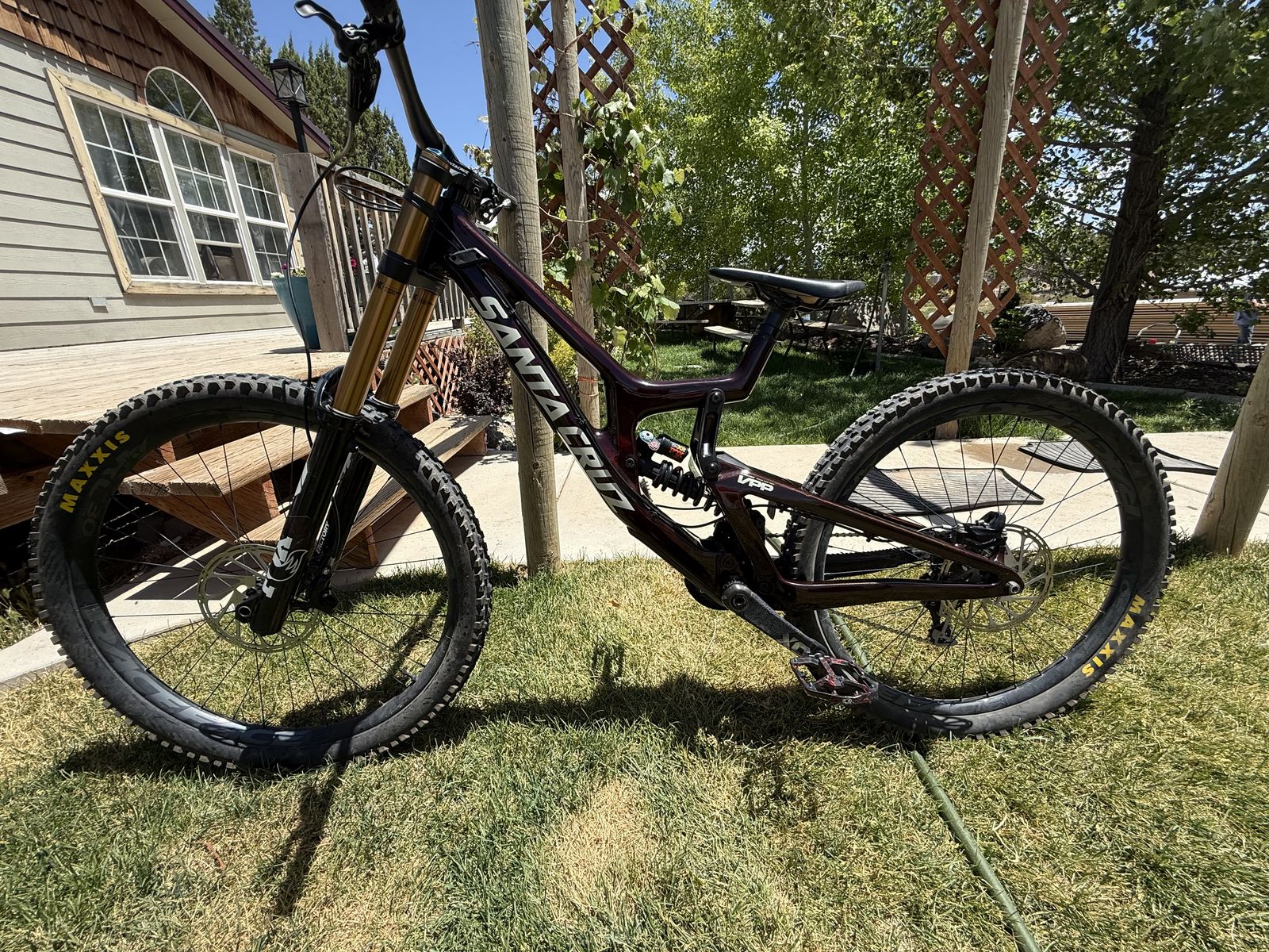 Santa Cruz v10 X01 eagle