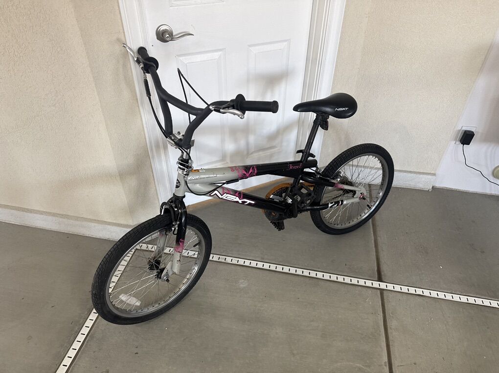 20 Inch Freestyle Bike