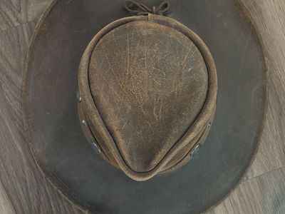 rare buffalo nickel hat