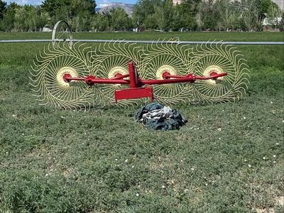 4 Wheel Rake