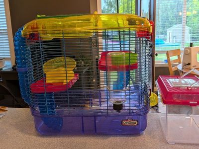 Kaytee Critter Trail two for hamsters