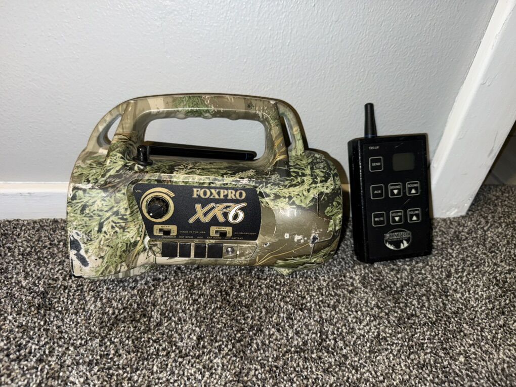 FoxPro XR6