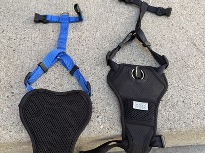 BLACK+DECKER Dog Harnesses - 2-Pack, Black & Blue, Adjustable, Padded for Comfort