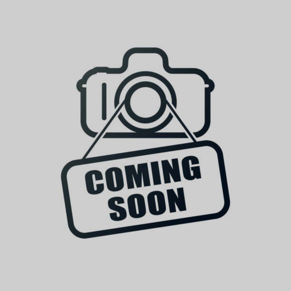 Gatsby the Schnauzer mix