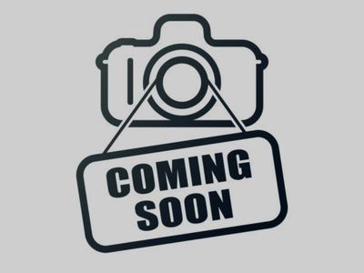 Gatsby the Schnauzer mix