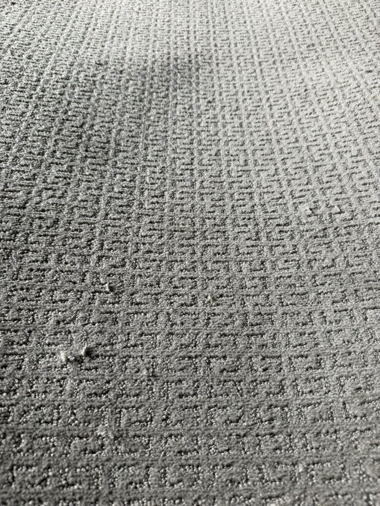 Beautiful Shaw Pattern Carpet 1800 Sqft