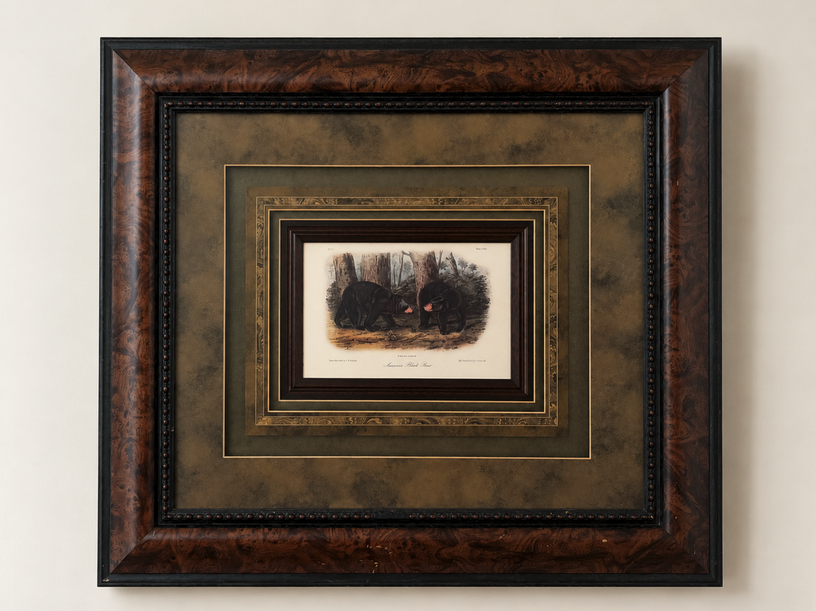 Large Framed American Black Bear Wildlife Art Print – Ornate Burlwood Frame & Double Matting