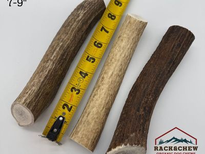 Natural Elk Antler Dog Chews – Small, Medium & Large