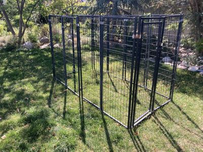 Dog run 4w x 8l