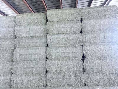 Alfalfa hay for sale