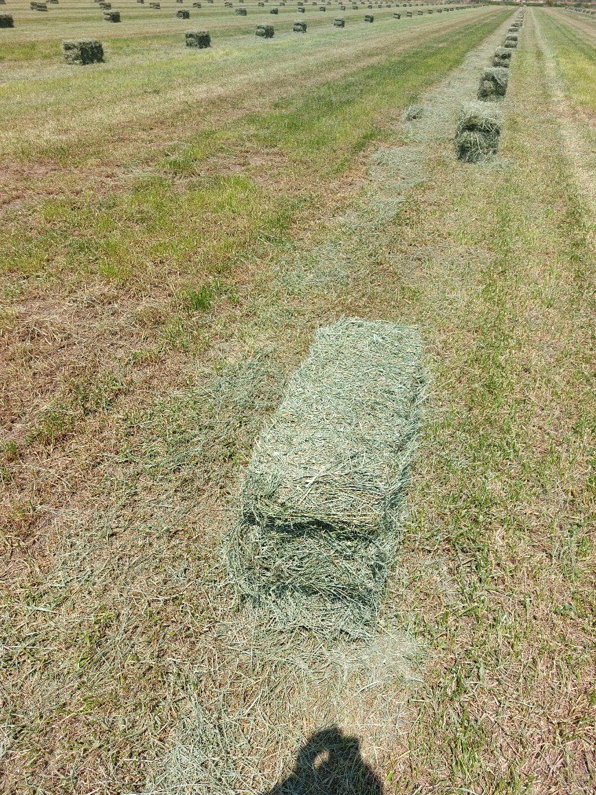Main image 3