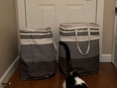 Set Of 2 Heavy Duty Laundry Bags (cat for Scale.)