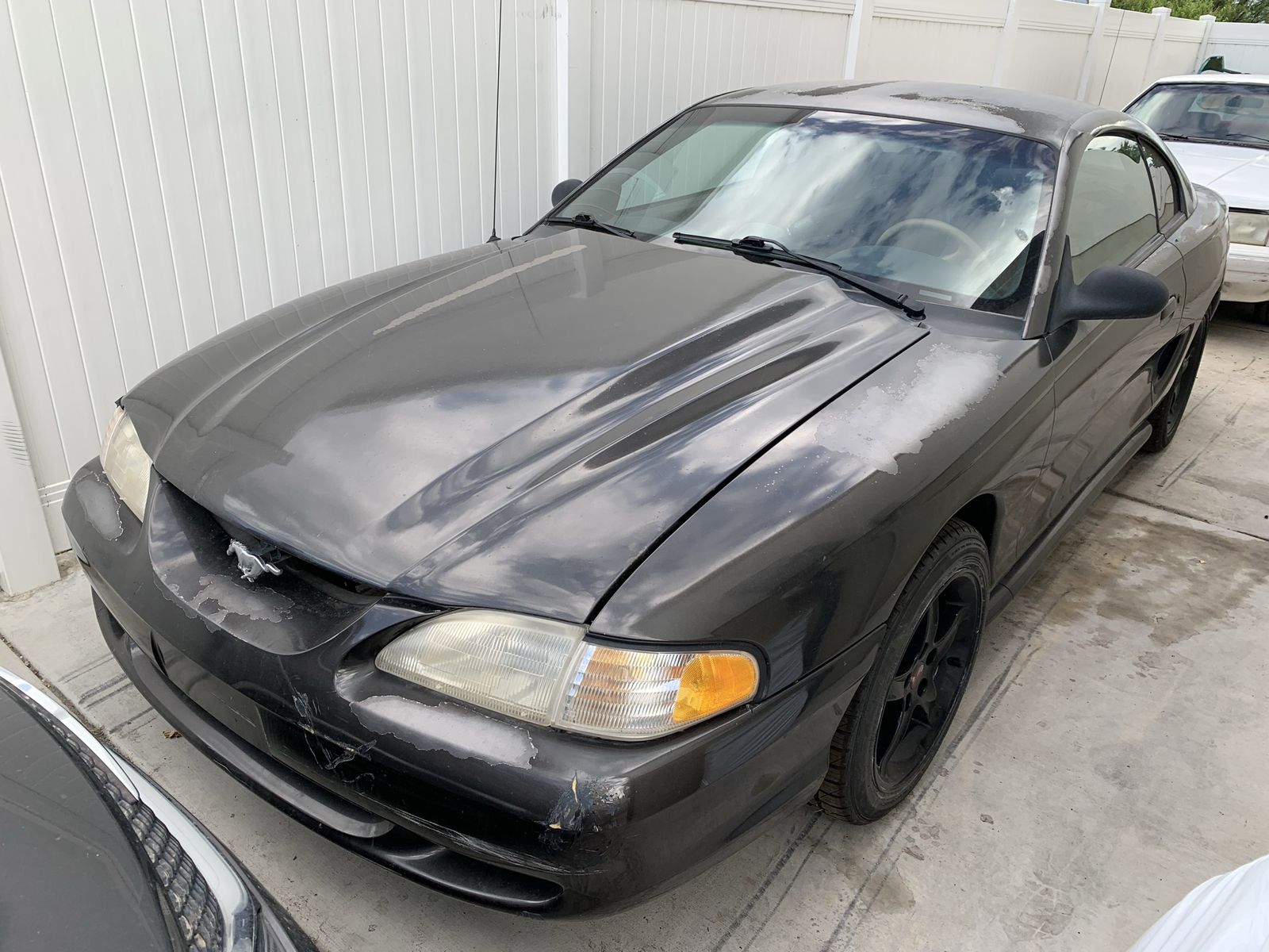 Ford Mustang SN95 Cervini “Cobra R” hood