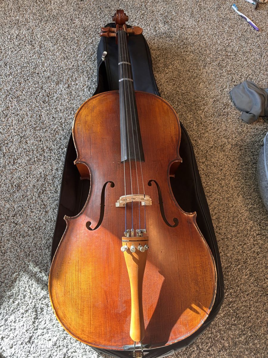 Dante 301 3/4 Cello In Goid Condition