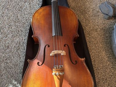 Dante 301 3/4 Cello In Goid Condition
