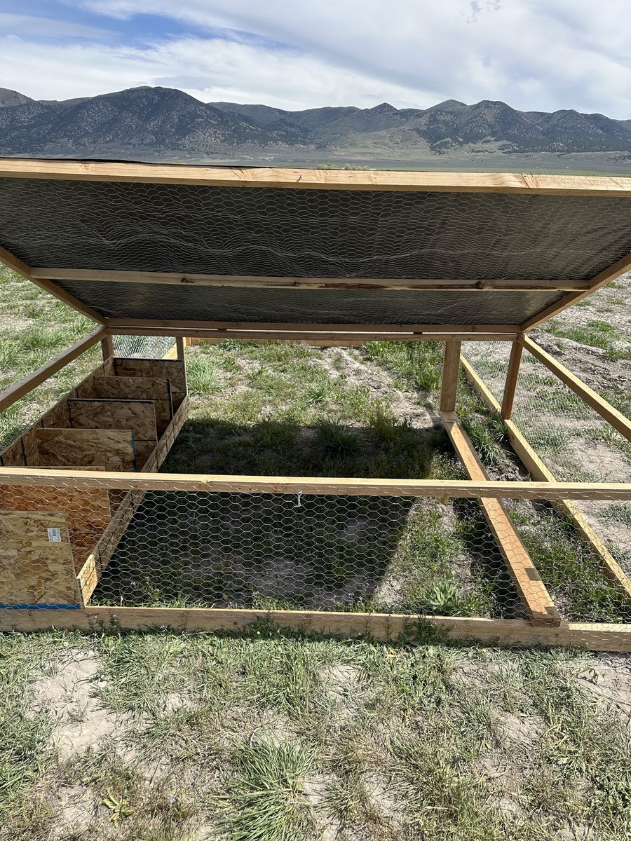 Large Chicken Tractor 8ftx12ft