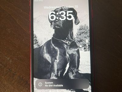 iPhone SE 3rd Gen 256gb Unlocked