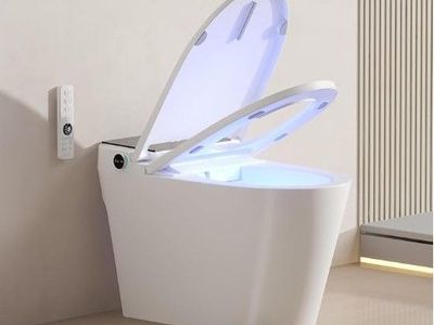 Smart Toilet with Bidet Built In, Heated Seat & Dual Auto Flush