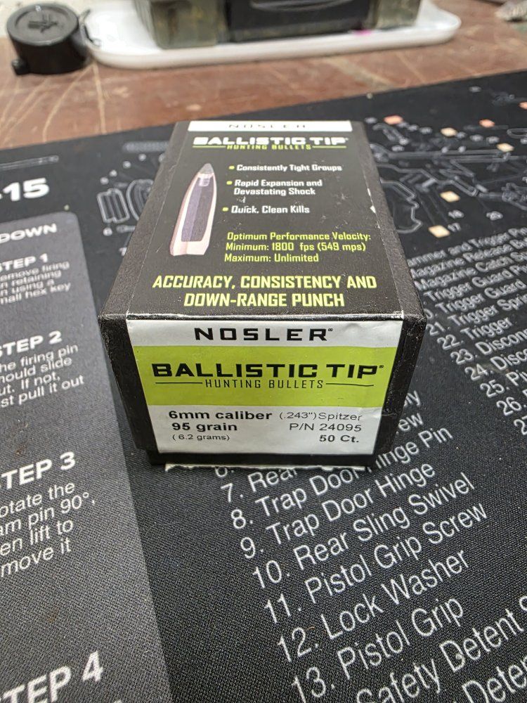 Nosler Ballistic tips
