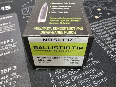 Nosler Ballistic tips