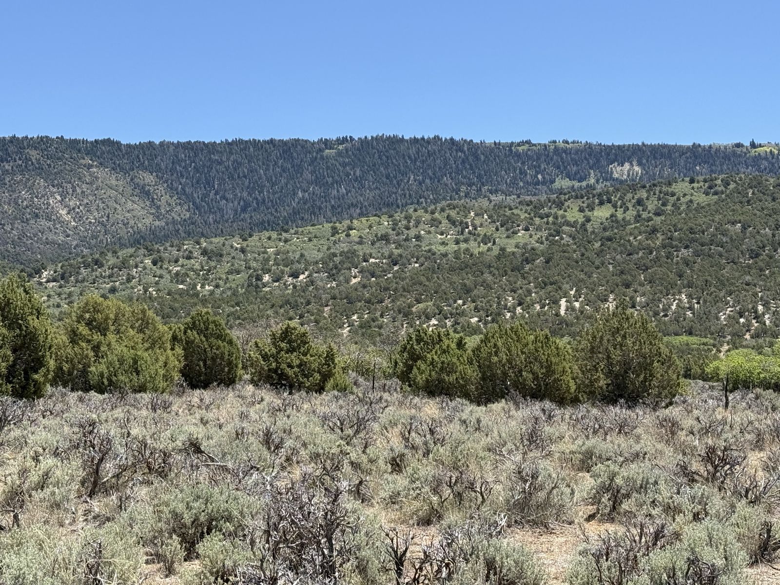 Beautiful 10-acre lot just south of Spring City Utah