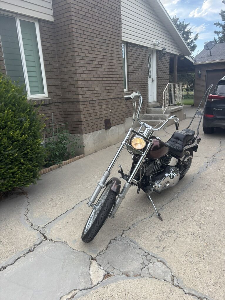1989 Harley Davidson FXST