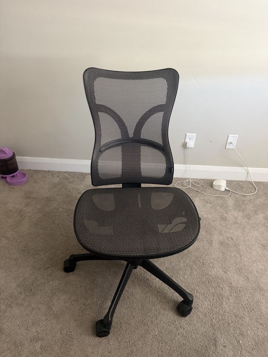 Black Ergonomic Rolling Office Chair