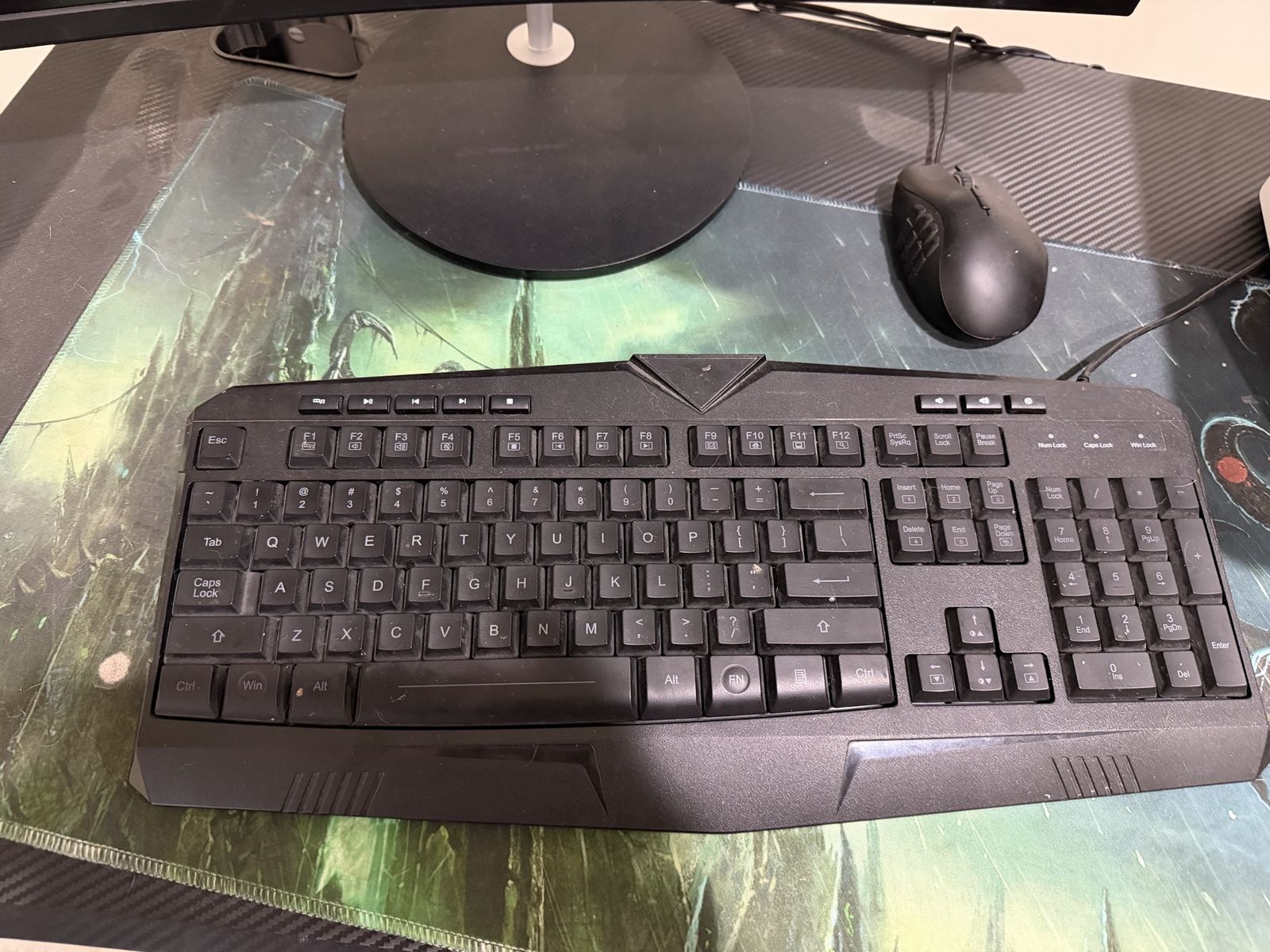 Main image 4