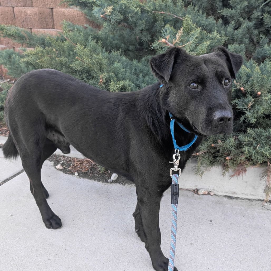 Hello my name is Chuck