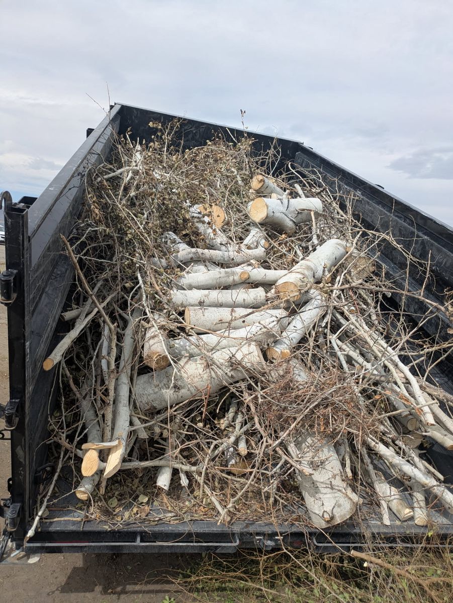 7x14x4 Dump Trailer