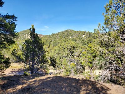 1- 6 acre Home/Cabin Lots with beautiful Surroundings