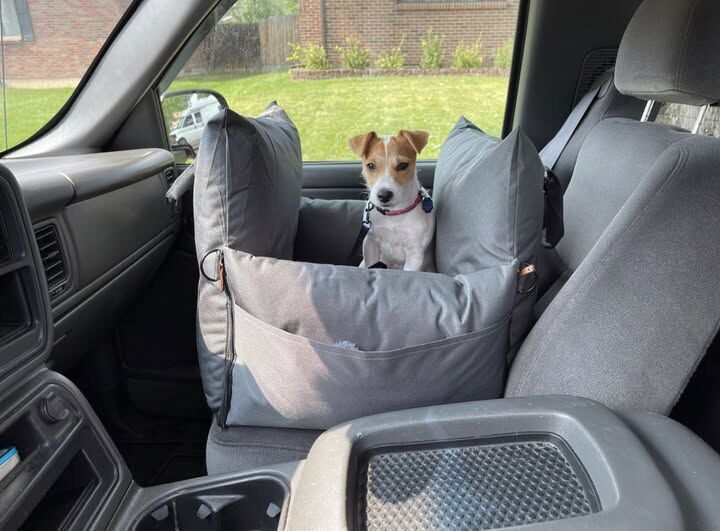 Queen's Nose Dog Car Seat
