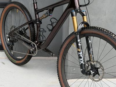 2022 Epic EVO Pro Large (29er- CARBON FRAME)