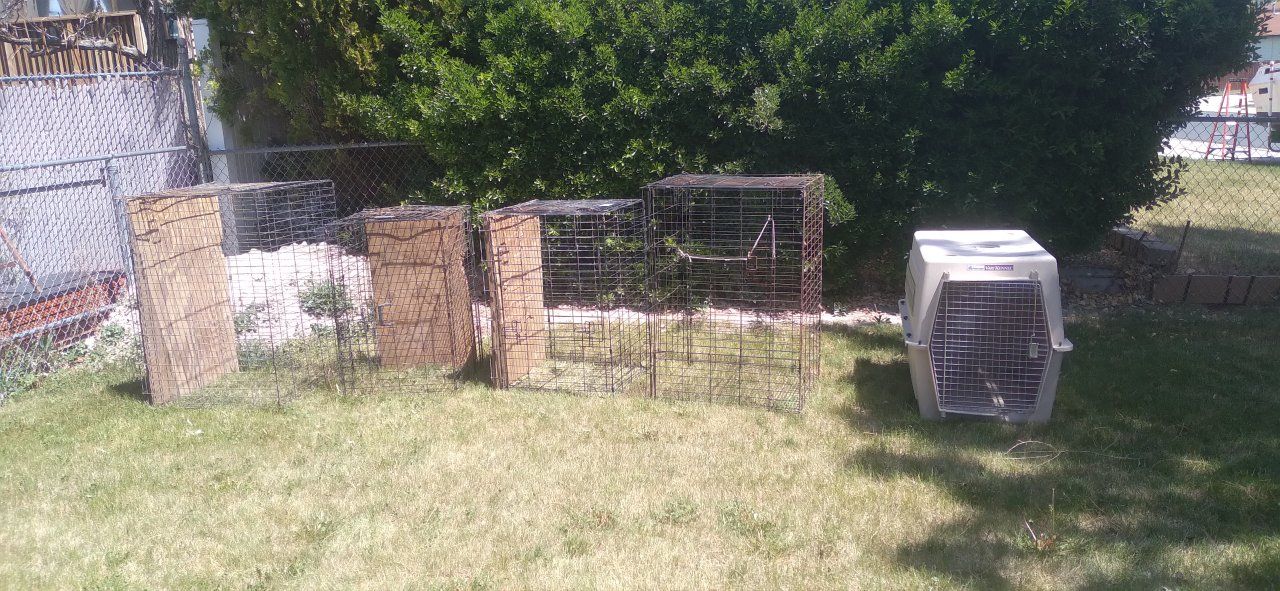 Used Pet Carriers/Cages - Assorted Sizes & Styles, Includes Petmate Vari Kennel