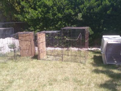 Used Pet Carriers/Cages - Assorted Sizes & Styles, Includes Petmate Vari Kennel