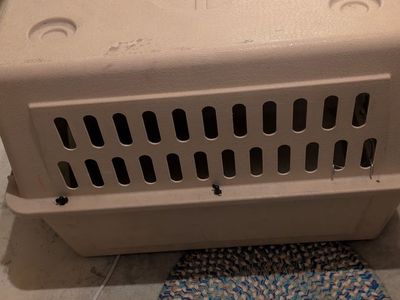 Dog Kennel