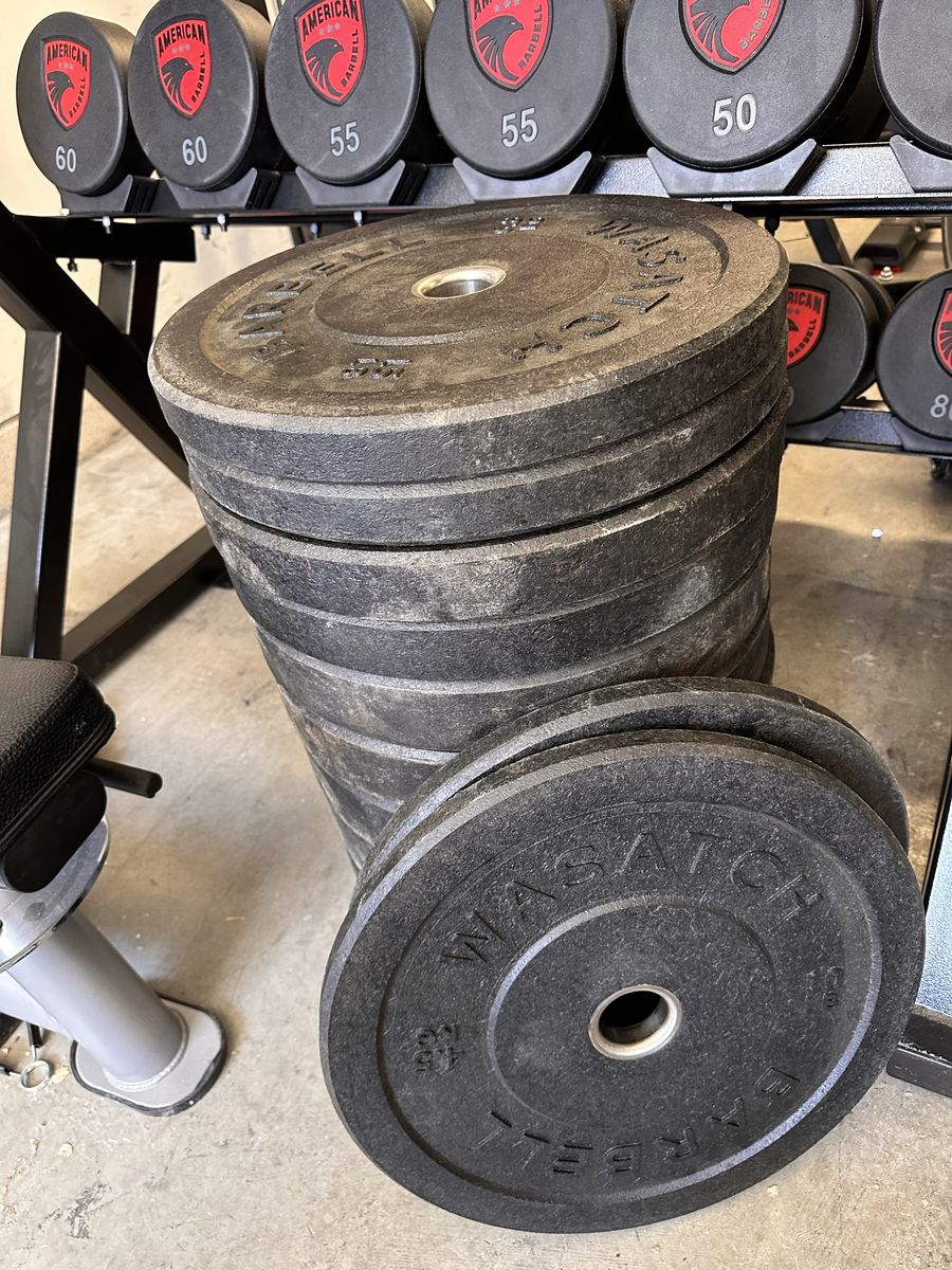 Wasatch Fitness Olympic Bumper Plates